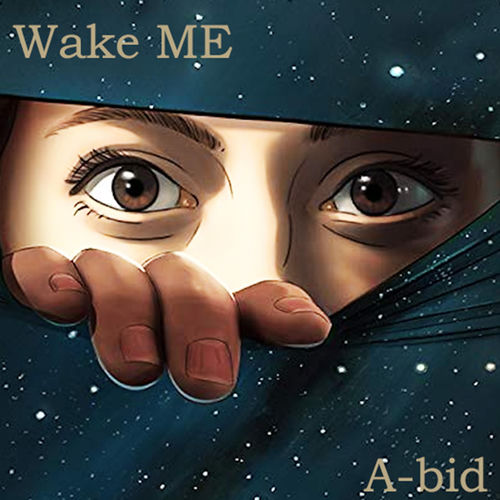 Wake Me cover
